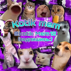 Kotik mem 