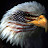 @RSR2026_USA1-g