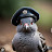 @Pigeonsoldat