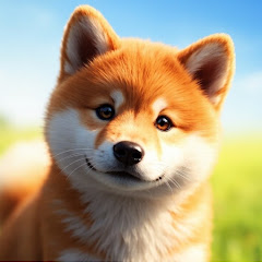 官业佳
