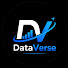 6OukMwc3zsI-channel-avatar-DataVerse