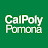 calpolypomona