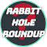 h1lEeuO7n90-channel-avatar-Rabbit Hole Roundup