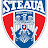 CSA Steaua Grupa 2010
