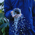 6qlAIKhab_k-channel-avatar-Salted Ice
