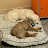 @몽실이-p9c
