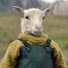 M_miKjGygxY-channel-avatar-Dlamb
