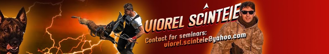 Viorel Scinteie YouTube channel avatar