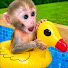 ViBiWVeYgoM-channel-avatar-MONKEY BRAZIL