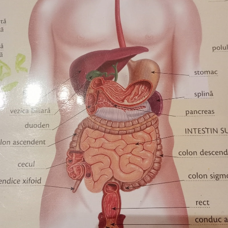 Gastroenterologie-hepatologie București 