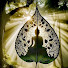 5Yeuqse7rQA-channel-avatar-Ang Sreynoch