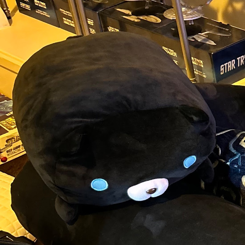 Snippers The Lazy Cat