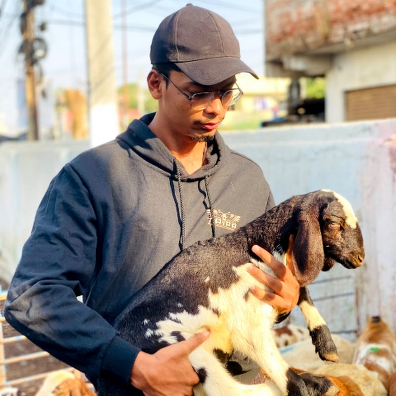 AFWAN GOATS CHANNEL! 