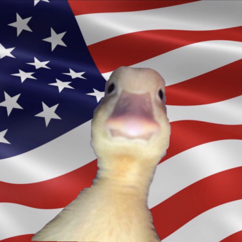 Usa Duck
