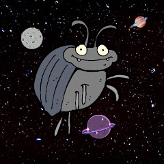 Space Beetle