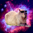 Fnu2ePWUoMU-channel-avatar-yd