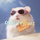 dailymews