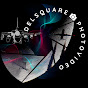 Delsquare Photovideo logo