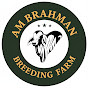 AM Brahman Breeding Farm logo