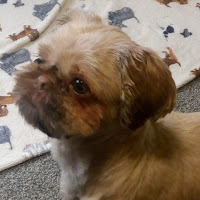 Profile Picture of KEIRAN PALMER 