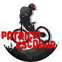 Patricio Escobar logo