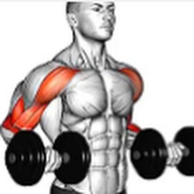 WORKOUT & FITNESS