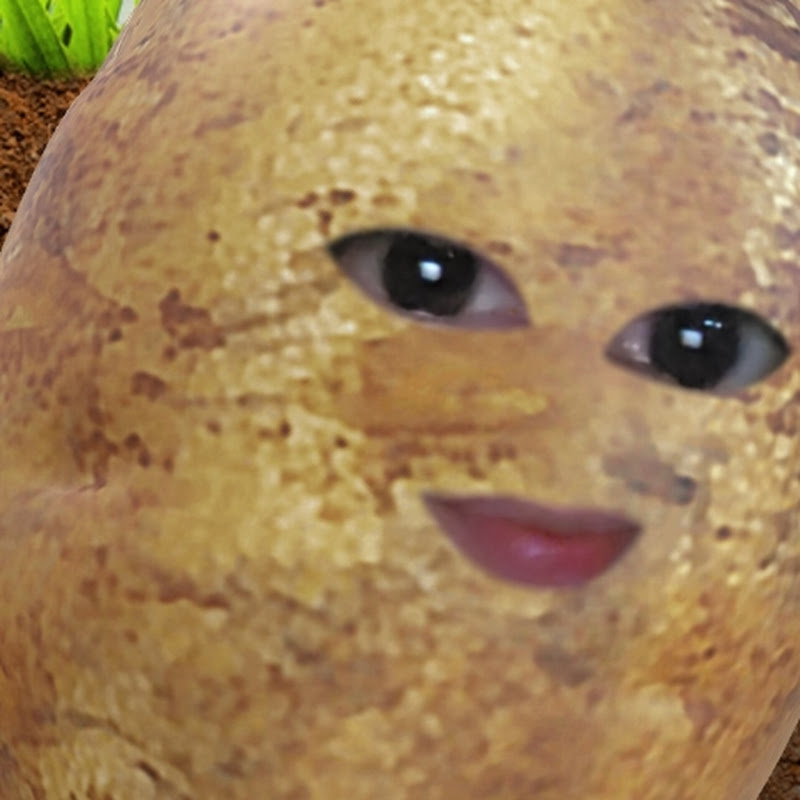 Angry Pota2