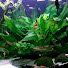 USEb6zrmB1E-channel-avatar-AquaBranko
