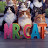 avatar of @mr-cat2.7