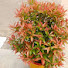 0VeXeAXLkKo-channel-avatar-Md Al mamun11