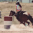 cSxgBl7yTHM-channel-avatar-SportPony
