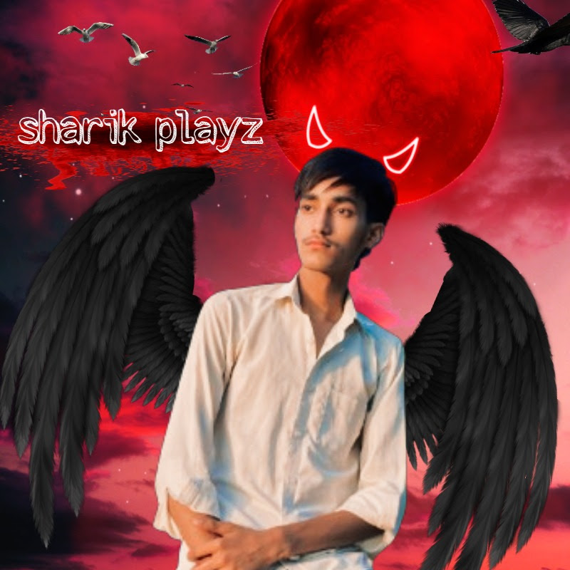 Sharik playz 