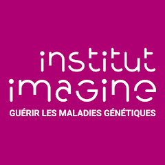 Institut Imagine