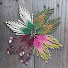 Cpw93m6mQ_c-channel-avatar-Choctaw Clover