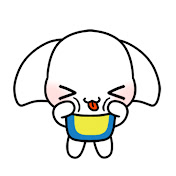 도:비전문가