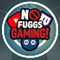 LmIE-EGKzxg-channel-avatar-No Fuggs Gaming!