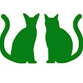 徳井義実