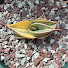 cg4F5Dh2164-channel-avatar-Sansevieria by Make It Make Sanse