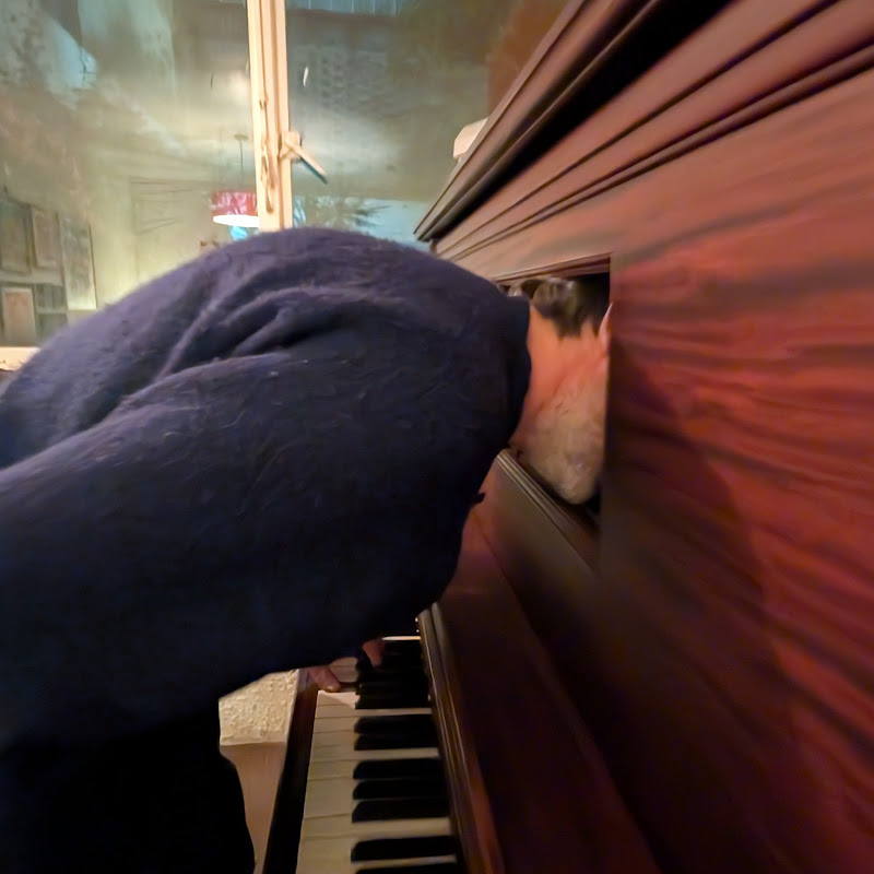 Patrick Watson - Topic