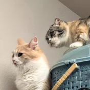 ウニとイクラと仲間たちと