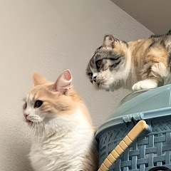 ウニとイクラと仲間たちと