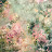 @MariamHaider-t9b