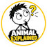 Bb82Zgf0X-Q-channel-avatar-Animal Explained-YT