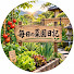 GBZuDj9MQBM-channel-avatar-毎日の菜園日記