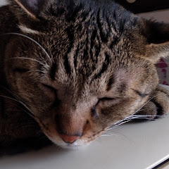 はちべーちゃんねる(完全クレゲ宣言)