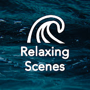Relaxing Scenes - Driving