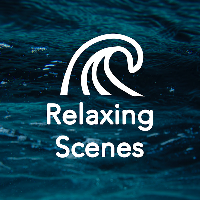 Relaxing Scenes - Driving