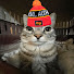 UOMISzFm7bM-channel-avatar-The Train Goddess