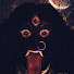 pA4b63iTejU-channel-avatar-Madhusudhana
