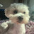 @로즈애-n9z